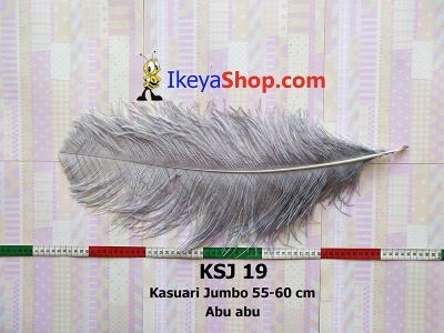 KSJ 19  large2